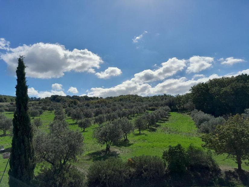 Agriturismo Barbi Villa Monticchiello Exterior photo