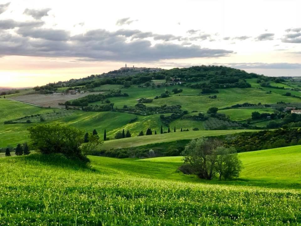 Agriturismo Barbi Villa Monticchiello Exterior photo