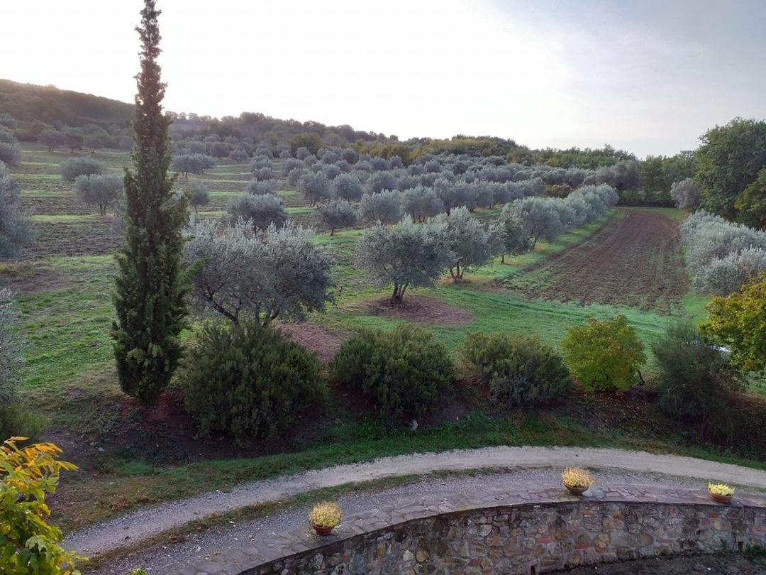 Agriturismo Barbi Villa Monticchiello Exterior photo