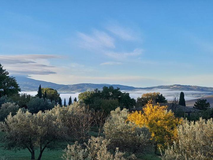 Agriturismo Barbi Villa Monticchiello Exterior photo